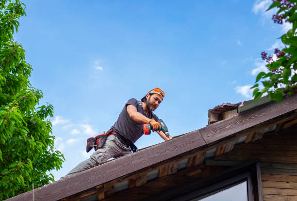 Best Roof Installation  in Mohave Valley, AZ