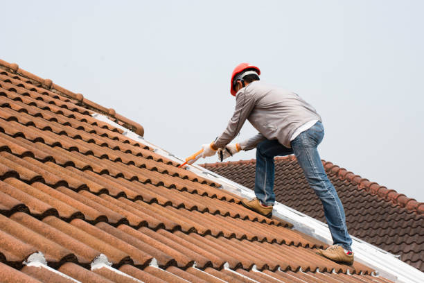 Best Skylight Installation and Repair  in Mohave Valley, AZ